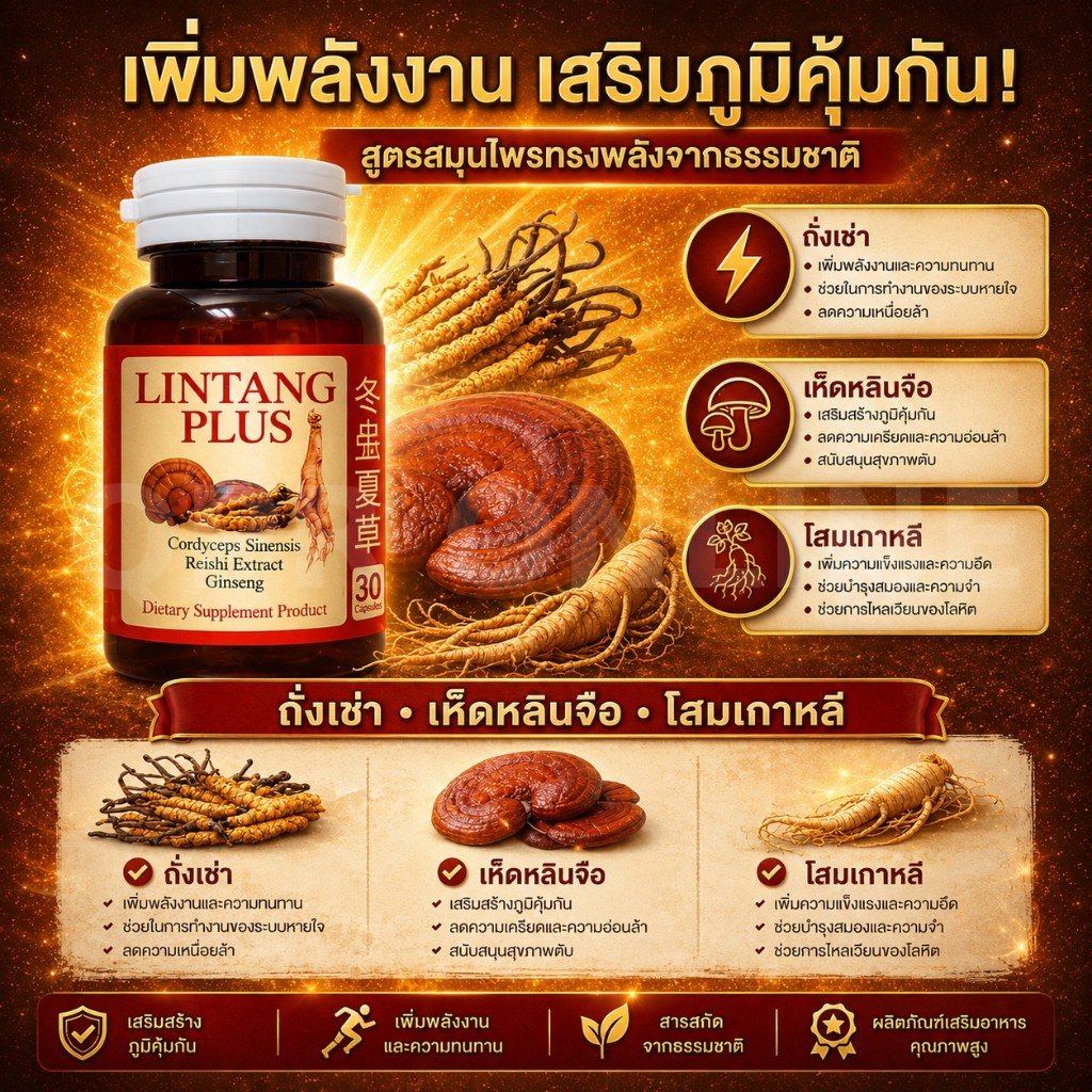 หลินตัง สารสกัดสมุนไพรจีน เห็ดหลินจือ ถั่งเช่า 1 กระปุก