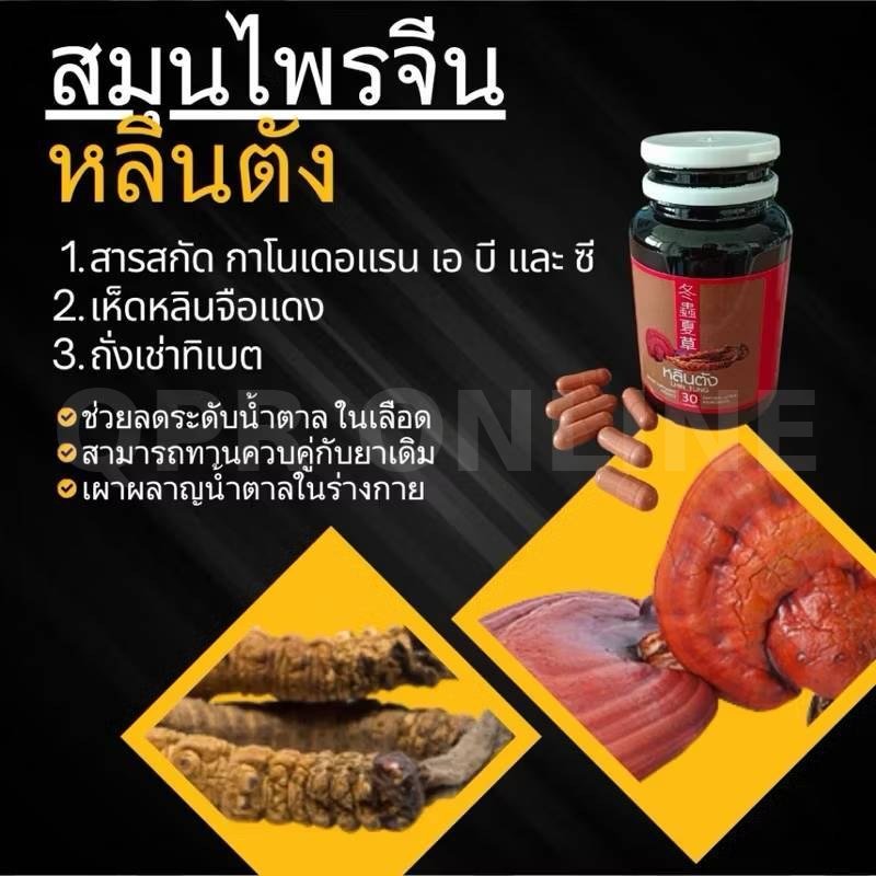 หลินตัง สารสกัดสมุนไพรจีน เห็ดหลินจือ ถั่งเช่า 1 กระปุก