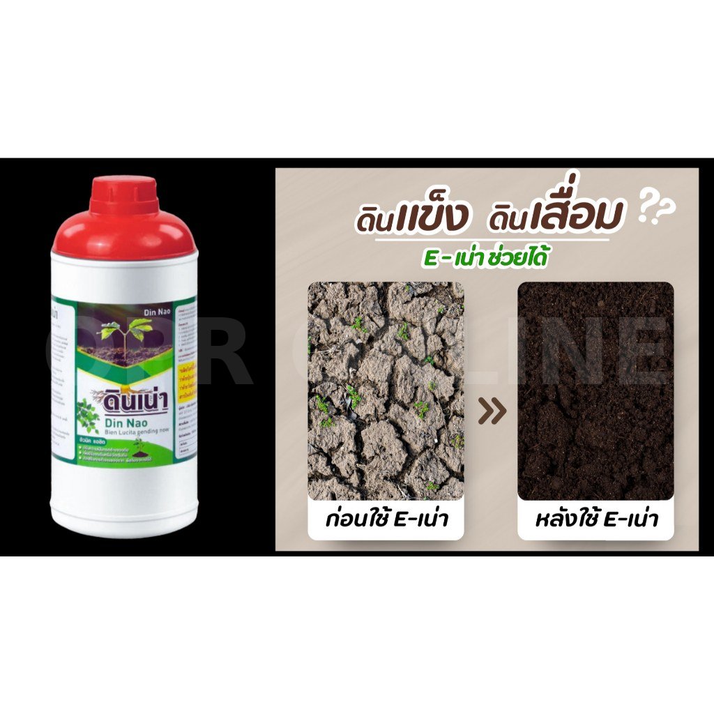 ดินเน่าคือเทคนิคเพิ่มผลผลิตที่ประหยัดเงิน กู้ดิน ปรับสภาพดิน เร่งรากใบดอก 1 ขวด